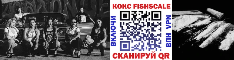 mega ТОР  закладка  Истра  Кокаин Fish Scale 