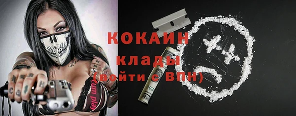 шишки Инта