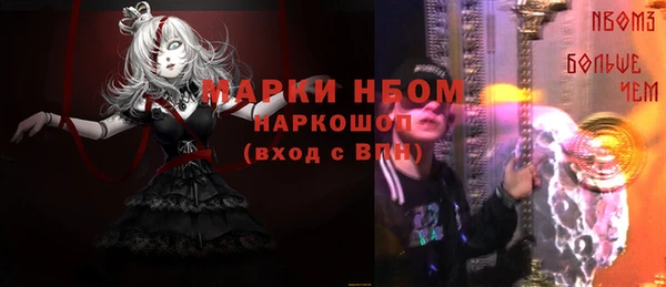 шишки Инта