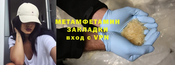 шишки Инта