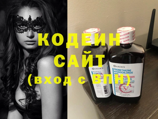 шишки Инта