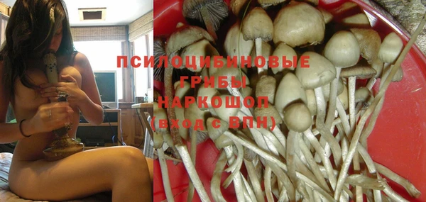 шишки Инта
