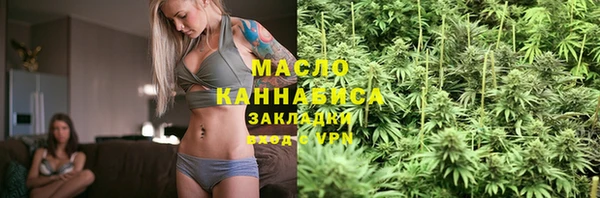 шишки Инта