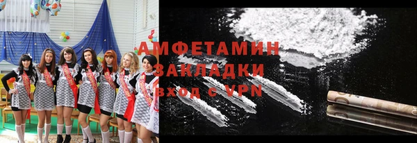шишки Инта