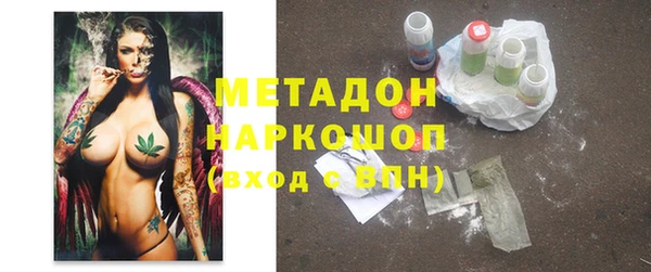 шишки Инта