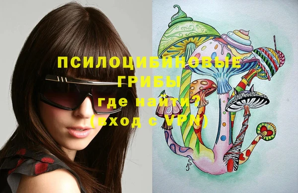 хмурый Инсар