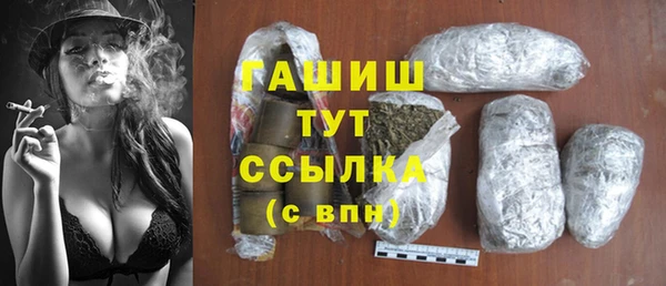 шишки Инта