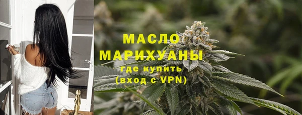 шишки Инта