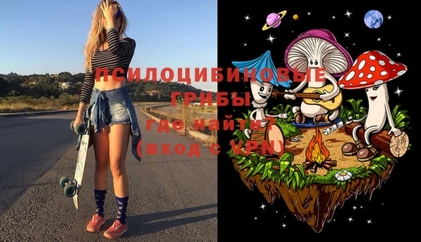 хмурый Инсар