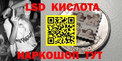 ГАЛЛЮЦИНОГЕННЫЕ ГРИБЫ Вязники