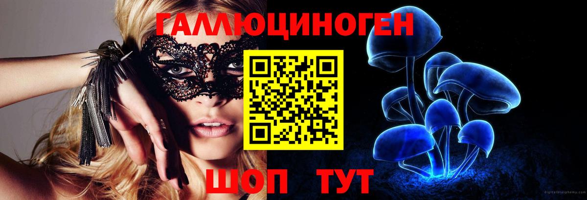 Истра  Псилоцибиновые грибы MAGIC MUSHROOMS  Псилоцибиновые грибы MAGIC MUSHROOMS  Вход с VPN 